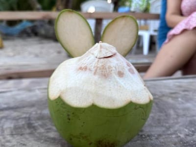 Beach Veli photo 4