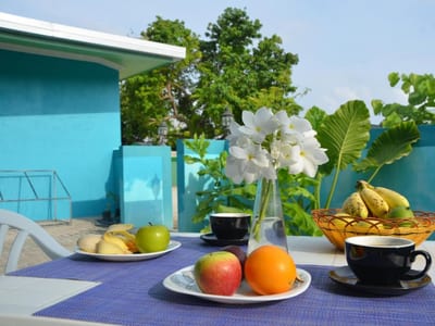 Velaa Garden View photo 4