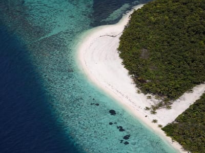 Suncoral Maldives photo 3