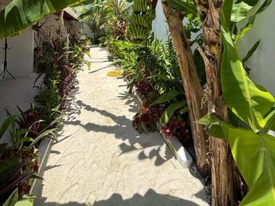 Veli Garden Thoddoo photo 4