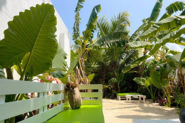 Veli Garden Thoddoo