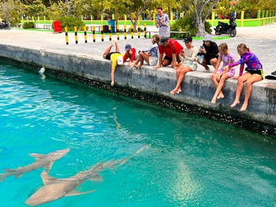 Manta Stay photo 4