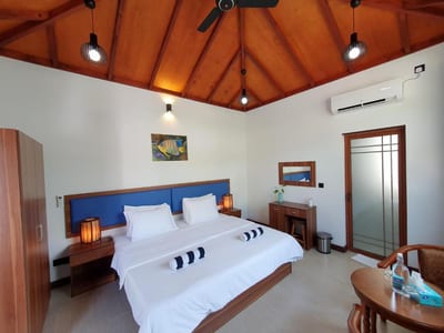 Blue Coral Vashafaru Maldives photo 2