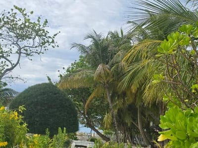 Iris Beach Residence photo 5