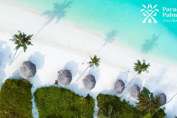 Paradise Palms