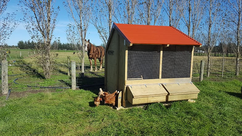 Outpost 2 Bay Hen House