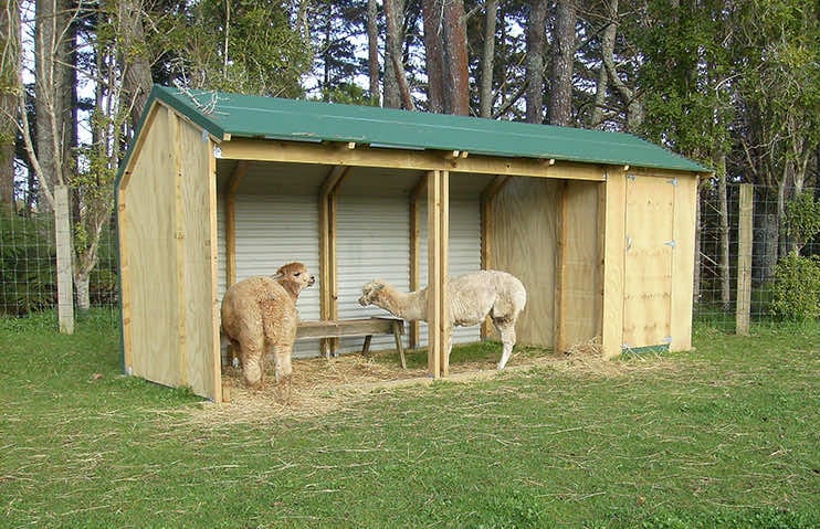 Livestock Shelter with shed