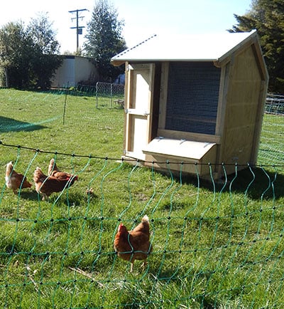 1 Bay Hen House photo