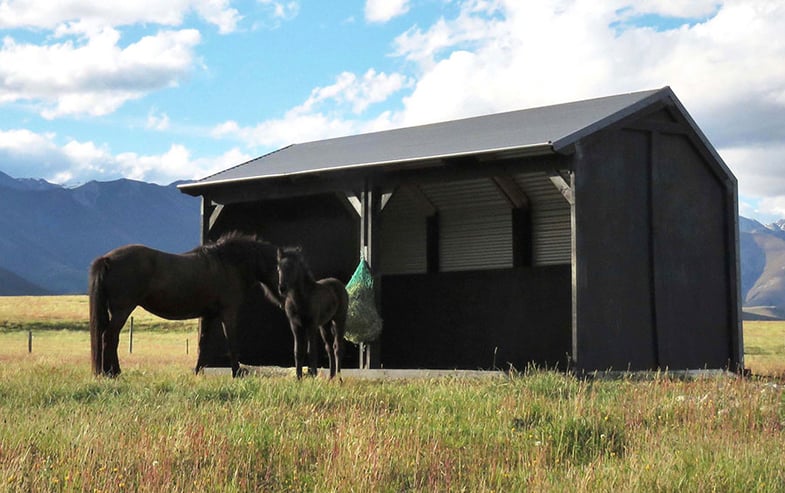 Homestead Horse Shelter