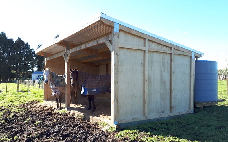 Hunter Large Paddock Shelter