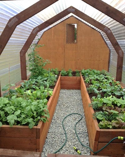 Raised garden beds in a green house