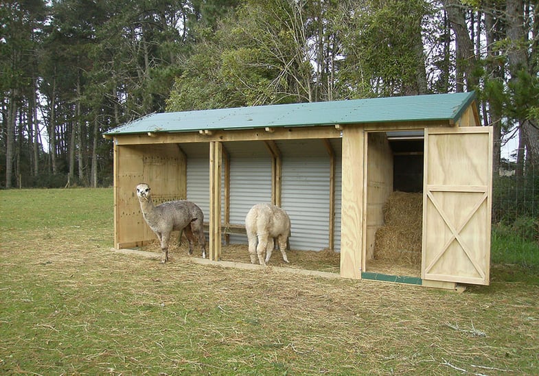 Paddock Shelter with shed