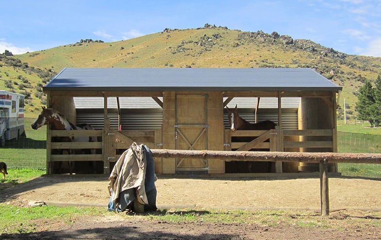 Click here for more info on this Horse Stable with tack shed