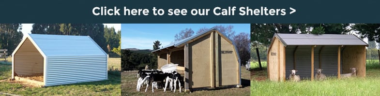 Click here to see our Calf Shelters