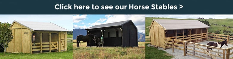 See our range of Horse Shelters