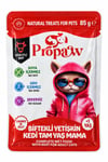 Propaw Yaş Gedi Maması Biftekli 85gr