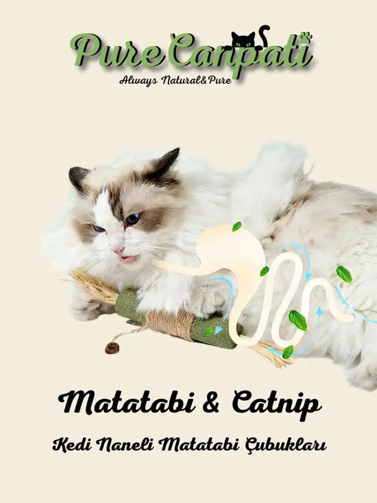Purecanpati Matatabi & Catnip Kedi Oyuncağı – Doğal Oyuncak& Diş Kaşıyıcı