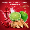Old Spice Captain 3'ü 1 Arada Duş Jeli 90 Ml