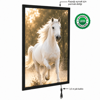 Magneco Ledbox Tek Taraflı Işıklı Çerçeve B1