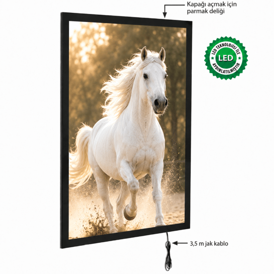 Magneco Ledbox Tek Taraflı Işıklı Çerçeve B1