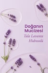 Tala Lavanta Suyu Hidrosol 100 Ml