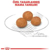 Royal Canin X-small Küçük Irk Köpek Maması 3 Kg