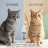 Bioxi®fur & Skin Serum 100 Ml – Kedi Köpek Tüy ve Deri Bakımı, Biberiye, Panthenol, Aloe Vera