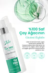 Tala Çay Ağacı Suyu Hidrosol 100 Ml