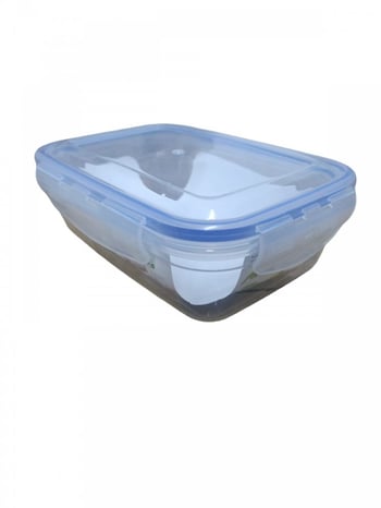 Asude 900 Ml Dikdörtgen Sızdırmaz Saklama Kabı