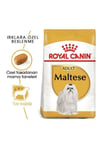 Royal Canin Maltese Yetişkin Köpek Maması 1,5 kg
