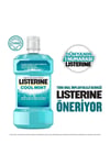 Listerine Cool Mint 500+250 Ml