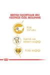 Royal Canin British Shorthair Yetişkin Kedi Maması 2 Kg + 2 Adet Pouch Hediyeli