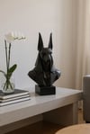 Anubis Büstü Figürlü Dekoratif Biblo