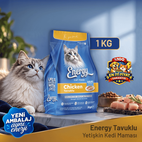 Energy Kedi Maması 1 kg Tavuklu