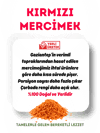 Mytat Doğal Yerli Üretim Kırmızı Futboltane Mercimek 1 kg