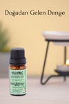 Kuatra Sedir Uçucu Yağı 10ml