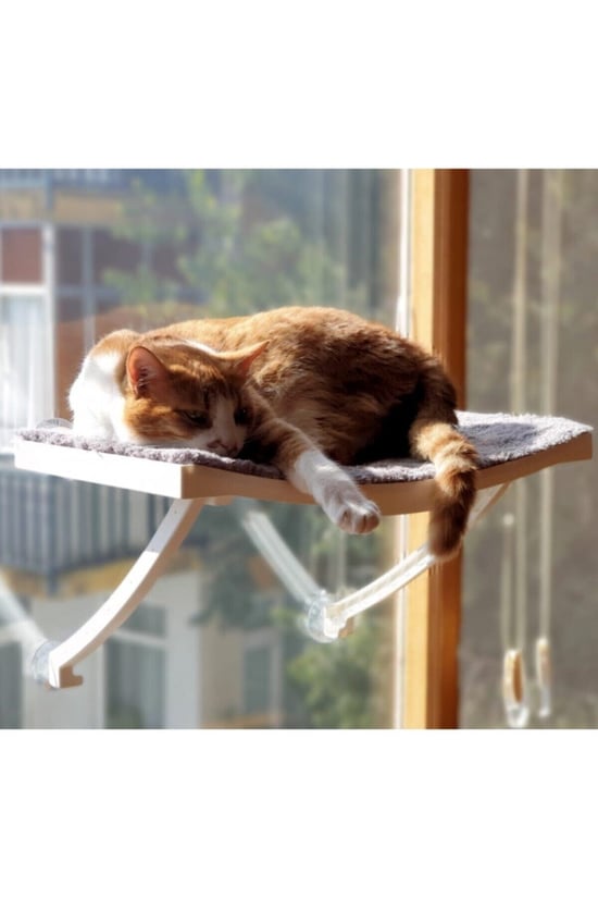 Ata Home Yeni Model Cam ve Duvar Için Kedi Yatağı Vantuzlu