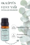 Kuatra Ökaliptüs Uçucu Yağı 10ml