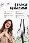 Farnia Premium Çubuklu Oda ve Ofis Kokusu 100 Ml Tatlı Sakız Bubble Gum