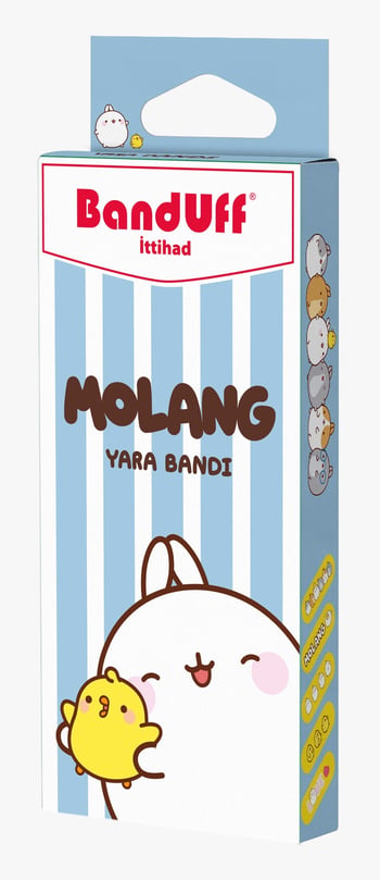 Banduff Yara Bandı 10 lu - Molang - Blue