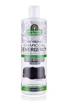 Spanish Garden Organik Kömür ve Kahve Özlü Yoğun Arındırıcılı Saç Kremi 450 Ml