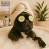 Bioxi® Black Shine Shampoo – Koyu Renkli Kedi ve Köpekler için Derin Parlaklık Bakım Şampuanı