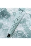 Schwarzkopf Igora Royal Highlifts Saç Boyası 60 Ml 10-21 Açık Sarı Küllü Sandre