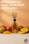 ILGAZ Mango Bambu Çubuklu Oda Kokusu 200 ML | XL Red Diffuser