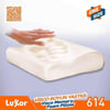 Luxor Visko Boyun Yastığı (614/)