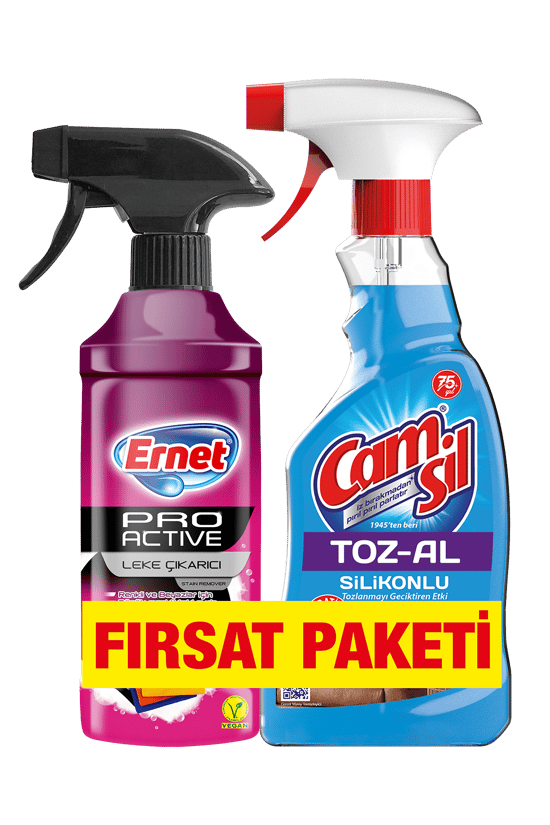 Ernet Pro Active Leke Çıkarıcı 435 ml + Camsil Toz-Al Silikonlu 500 ml