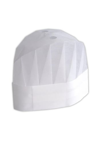 Dolphin Aşçı Kepi 10 Adet