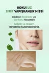 Dr Banggıwon Cicamide Leke Karşıtı Krem, Nemlendirici, Aydınlatıcı, Gün Boyu Etkili, Erkeklere Özel, 300 Ml