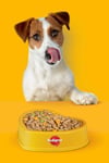 Pedigree Tavuklu Konserve Köpek Yaş Mama 400 Gr X24