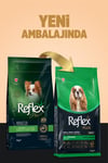 Plus Hipoalerjenik Mini ve Küçük Irklar için Tavuklu Yetişkin Köpek Maması 3 Kg